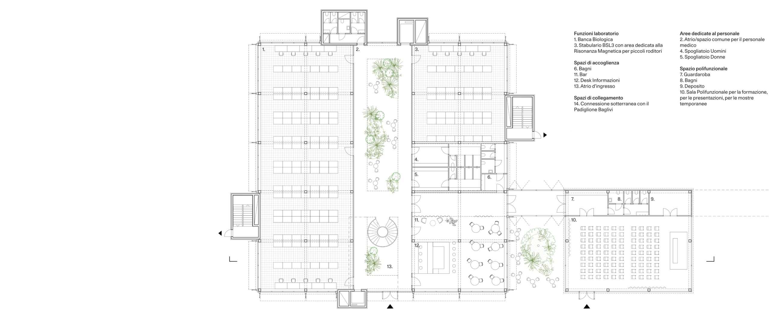 tobia-davanzo-spallanzani-montalcini-competition-award- GroundFloor